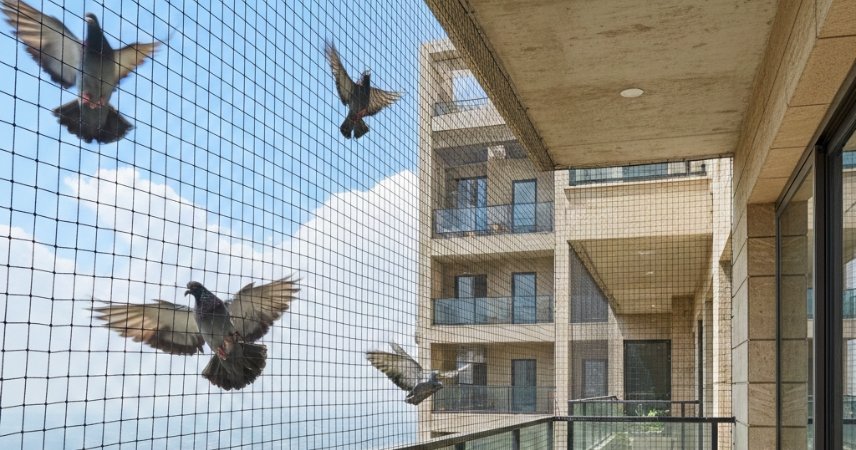 Pigeon Net Installation Process