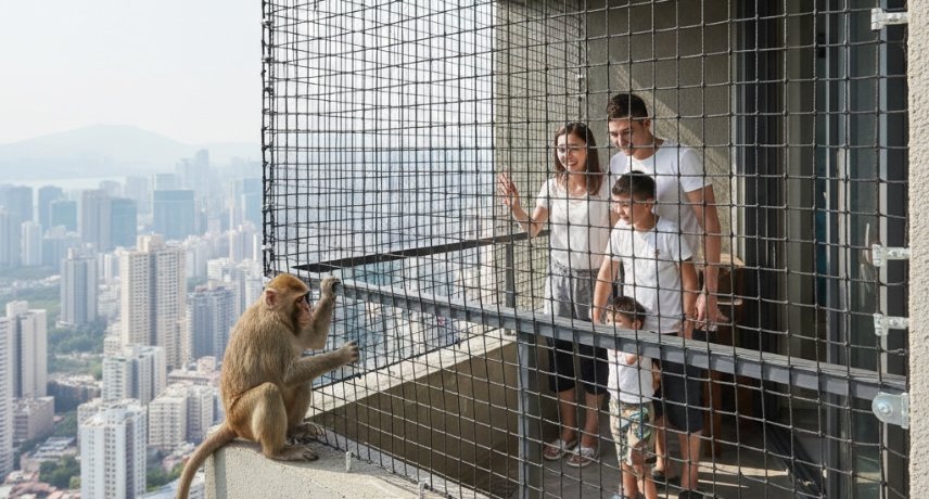 Monkey Safety Nets Installation in Warangal