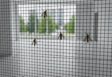 Window mosquito net in Eluru