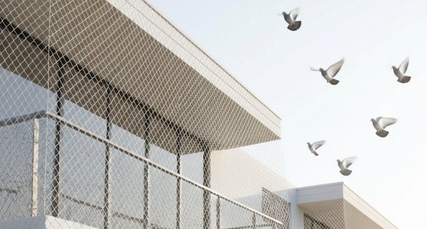 Pigeon Safety Nets Installation in Eluru