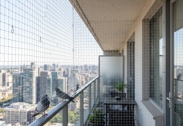 Balcony pigeon net in Eluru