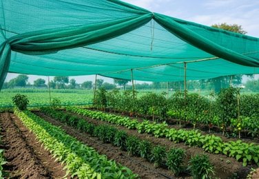 Garden shade net in Kadapa