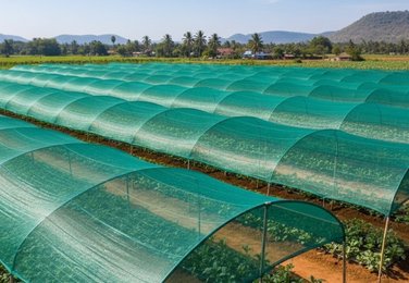 Parking shade net in Kadapa