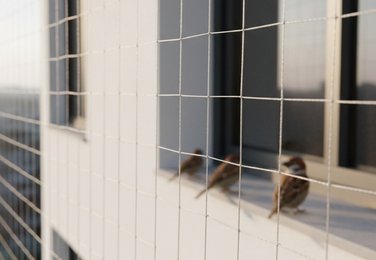 Garden bird protection net in Vijayawada